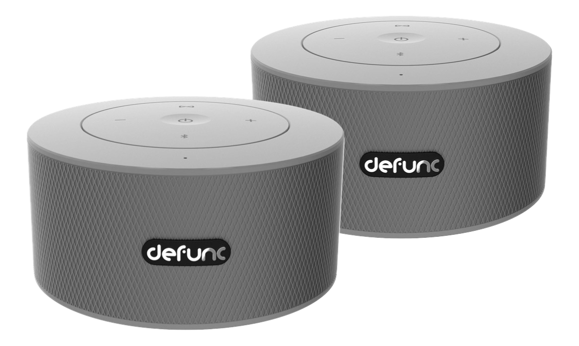 DeFunc DUO, Bluetooth högtalare, silver