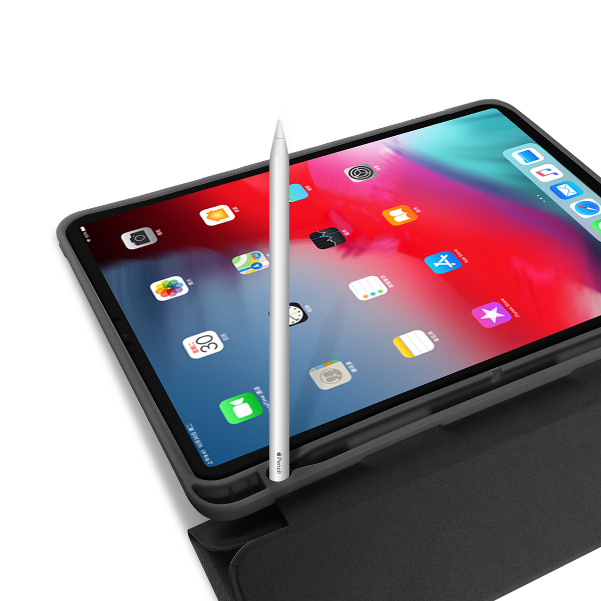 Dux Ducis Domo series, iPad Pro 11 (2018), svart
