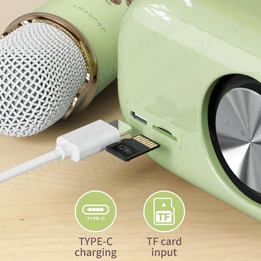 C20 Plus Trådlös högtalare med 2 mikrofoner, BT5.0, 1000mAh