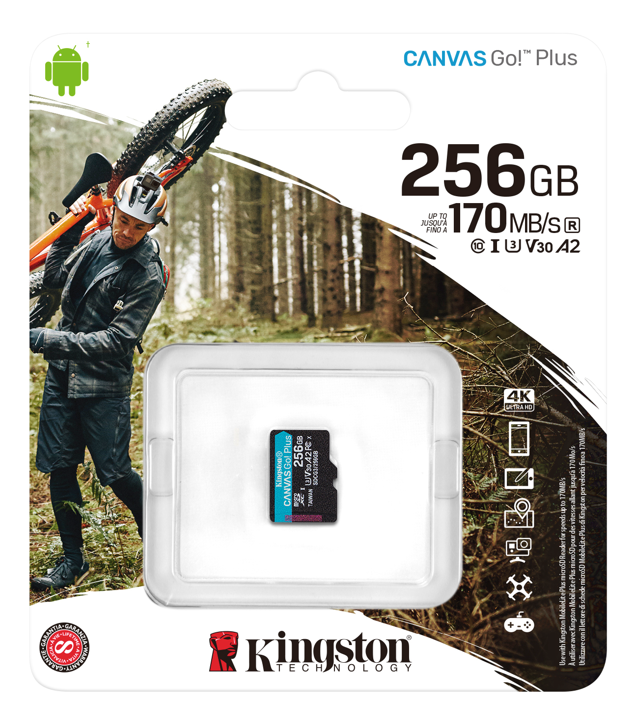 Kingston microSDXC, Canvas Go Plus, 256GB