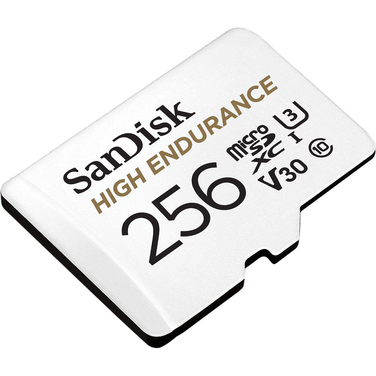 SanDisk High Endurance microSDXC 100MB/s, 256GB