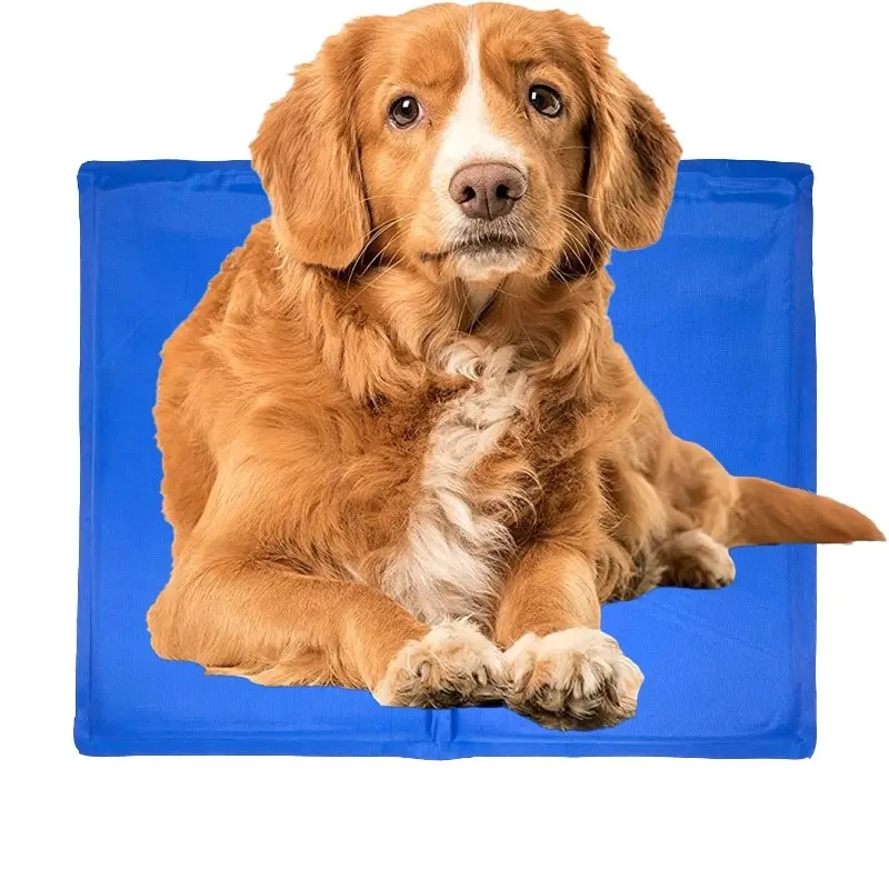 Vikbar kylmatta för hundar och andra husdjur, 65x50cm