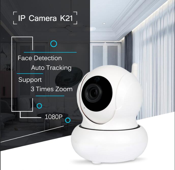 Wanscam K21 IP-kamera med ansiktsigenkänning, 5V/1A
