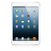 iPad Mini 4/5