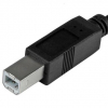 USB B (Typ B)