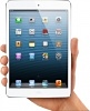iPad Mini/2/3
