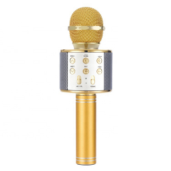 iKaraoke WS-858 Trådlös mikrofon, guld